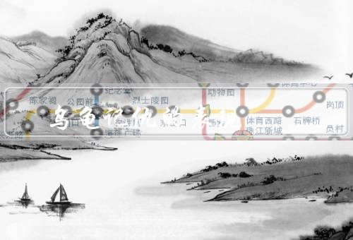 乌龟记仇的表现