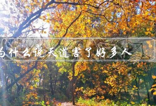 为什么说天道害了好多人