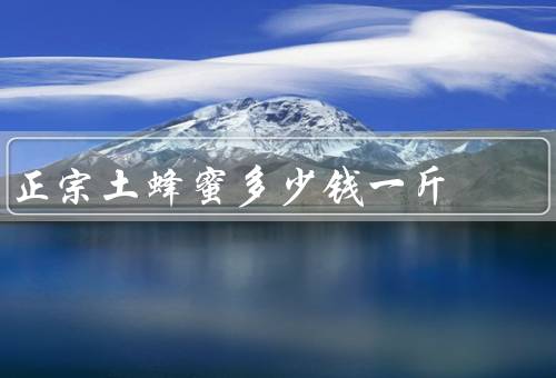 正宗土蜂蜜多少钱一斤