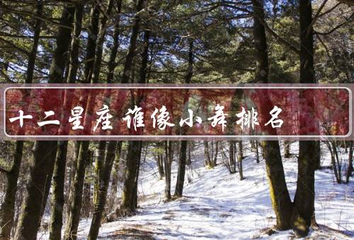 十二星座谁像小舞排名