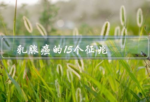 乳腺癌的15个征兆