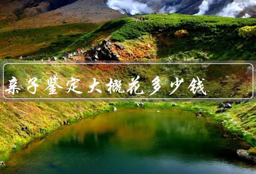 亲子鉴定大概花多少钱