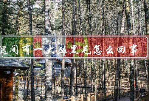 两腿间有一大丛黑毛怎么回事
