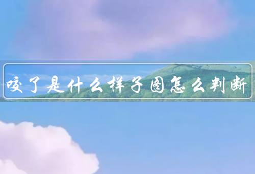 螨虫咬了是什么样子图怎么判断，会有瘙痒的丘疹性荨麻疹