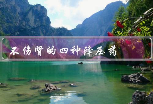 不伤肾的四种降压药