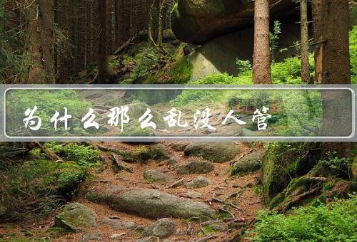 为什么那么乱没人管