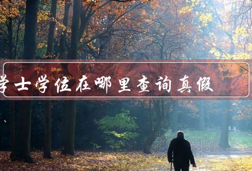 学士学位在哪里查询真假