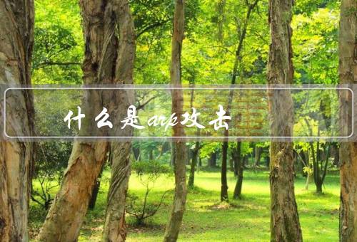 什么是arp攻击