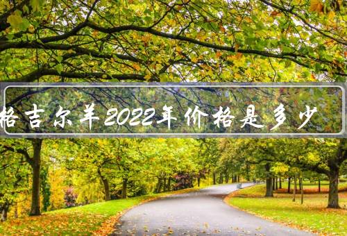瓦格吉尔羊2022年价格是多少