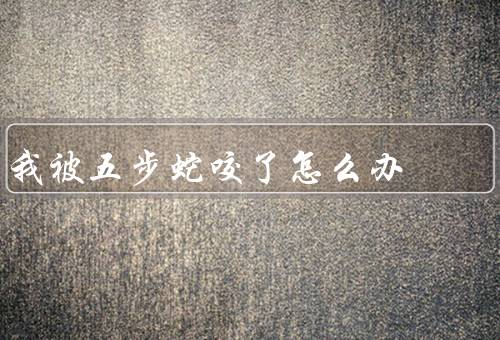 我被五步蛇咬了怎么办