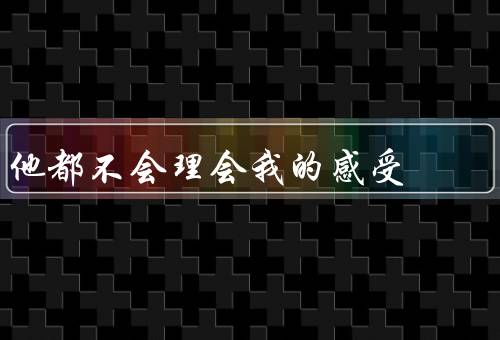 他都不会理会我的感受