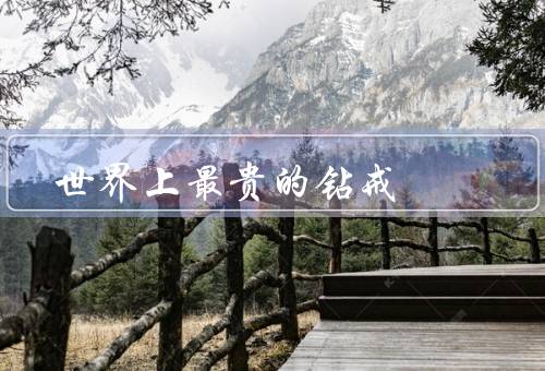 世界上最贵的钻戒