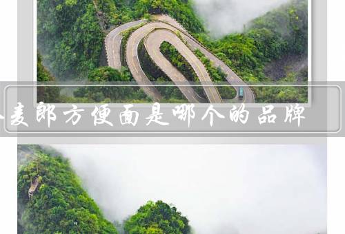 今麦郎方便面是哪个的品牌，民营企业（不是日资）