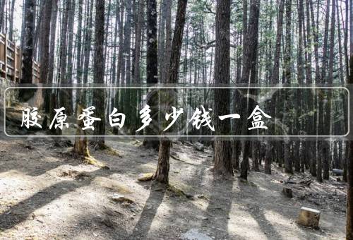 胶原蛋白多少钱一盒，一般在两三百左右（国产和进口的差别不大）