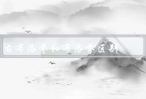 右布洛芬和布洛芬区别
