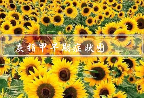 灰指甲早期症状图