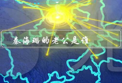 秦海璐的老公是谁，王新军（第一任丈夫也是现任丈夫）