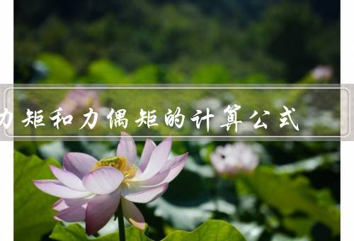 力矩和力偶矩的计算公式