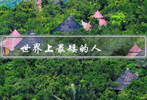 世界上最矮的人