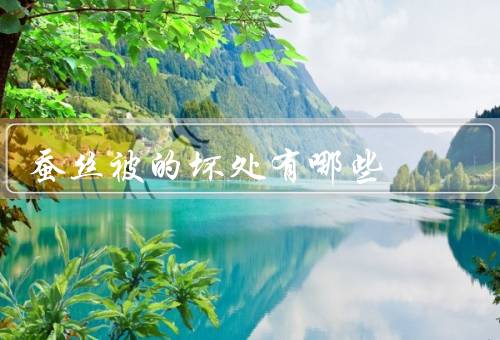 蚕丝被的坏处有哪些