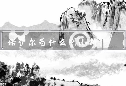 诺伊尔为什么叫小新