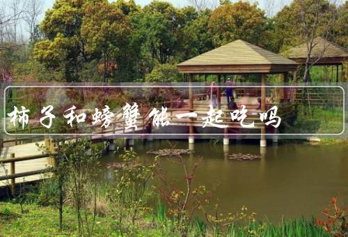 柿子和螃蟹能一起吃吗