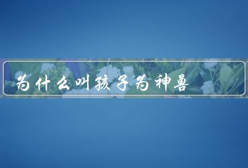 为什么叫孩子为神兽