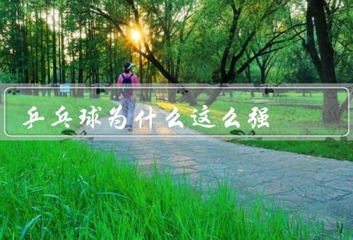 乒乓球为什么这么强