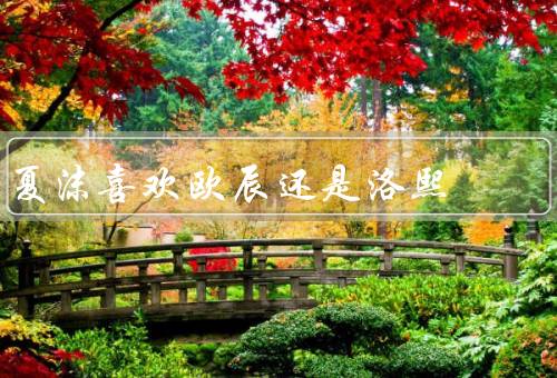 夏沫喜欢欧辰还是洛熙
