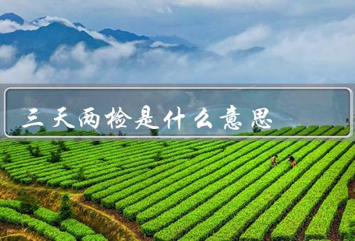 三天两检是什么意思