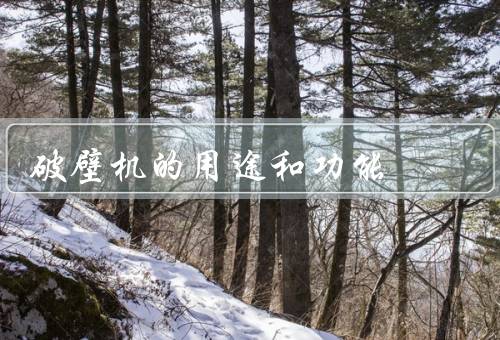 破壁机的用途和功能
