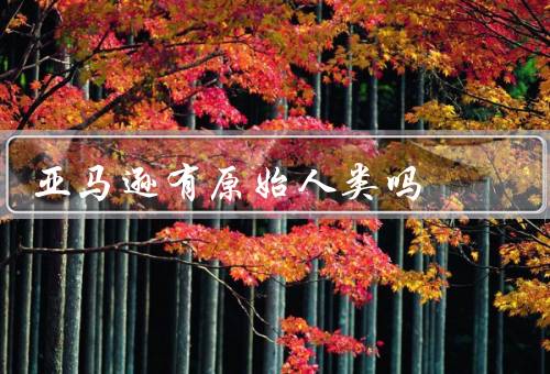亚马逊有原始人类吗