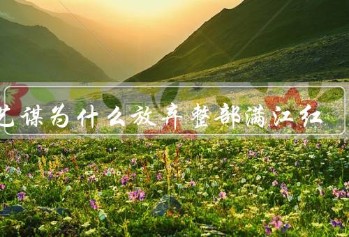 张艺谋为什么放弃整部满江红