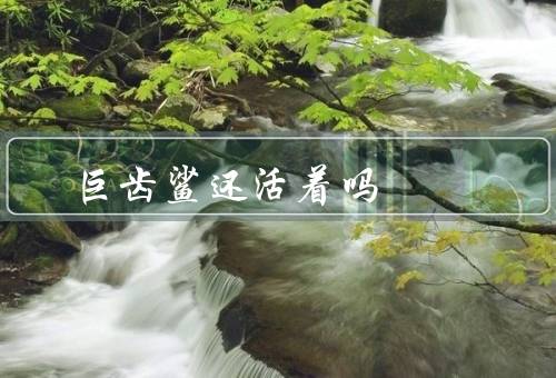 巨齿鲨还活着吗