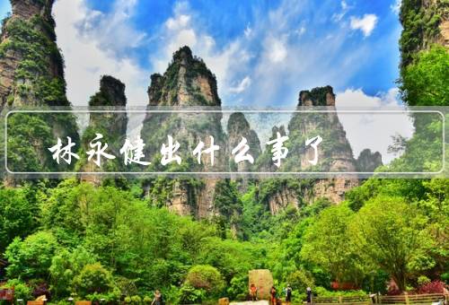 林永健出什么事了