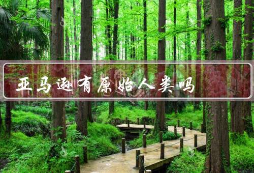 亚马逊有原始人类吗