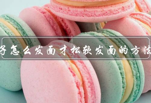 做包子怎么发面才松软发面的方法