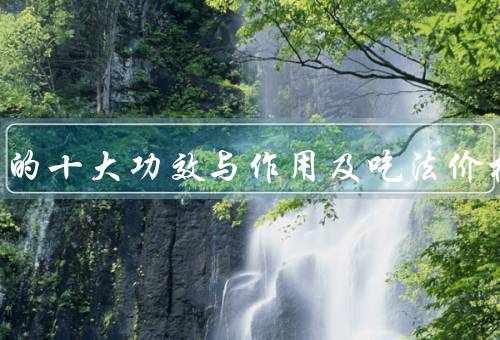 角鲨烯的十大功效与作用及吃法价格