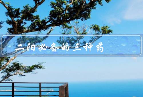 二阳必备的三种药