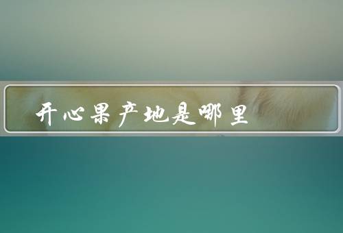 开心果产地是哪里