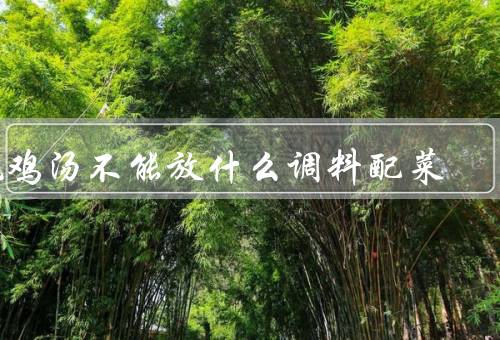 炖鸡汤不能放什么调料配菜