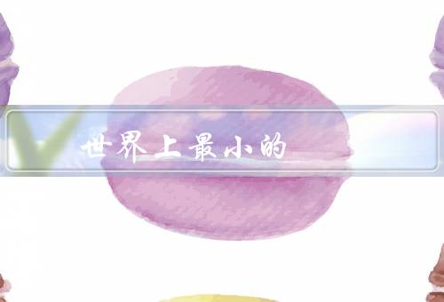 世界上最小的