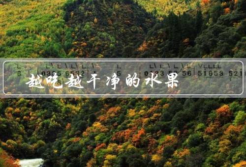 越吃越干净的水果
