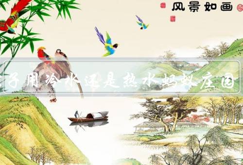 煮粽子用冷水还是热水蚂蚁庄园