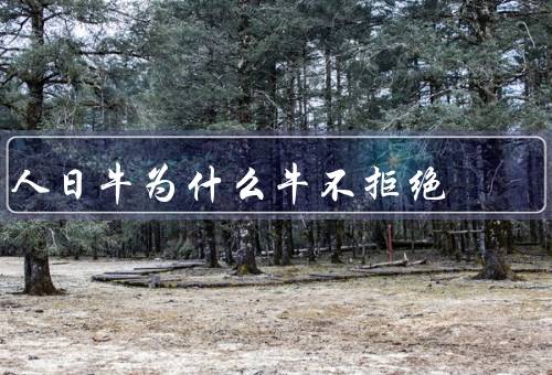 人日牛为什么牛不拒绝