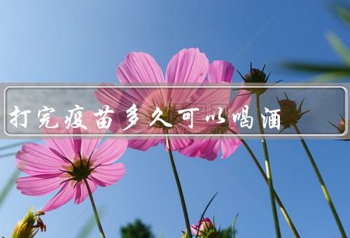 打完疫苗多久可以喝酒