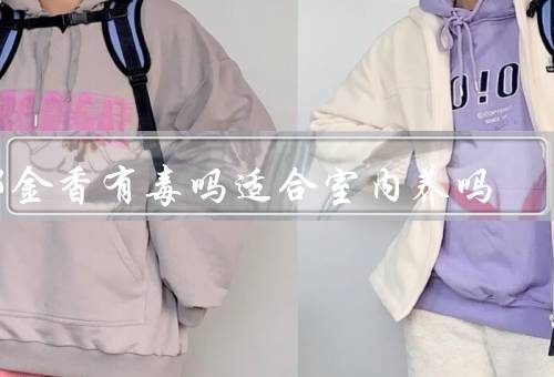 郁金香有毒吗适合室内养吗，有毒少量种没问题（长期接触会脱发）