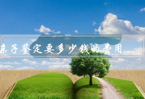 亲子鉴定要多少钱的费用