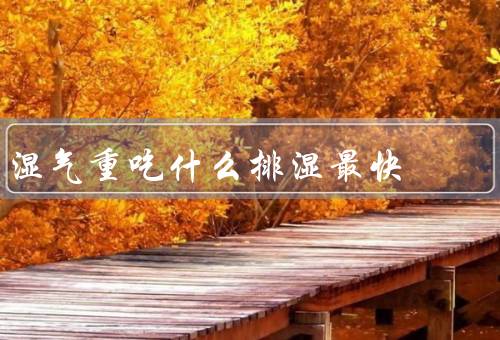 湿气重吃什么排湿最快