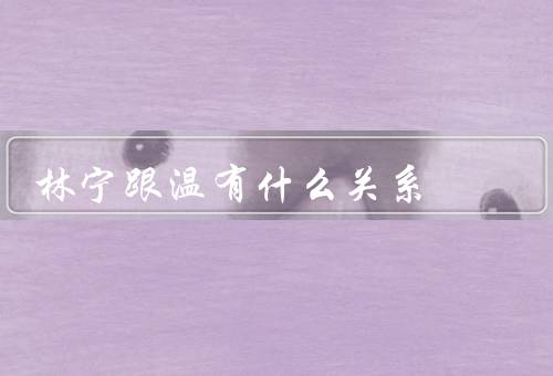 林宁跟温有什么关系